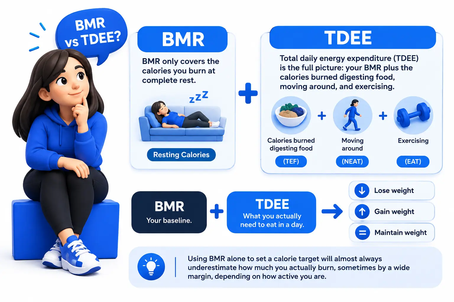 BMR Calculator vs TDEE comparison showing resting calories, daily energy expenditure, and weight goals