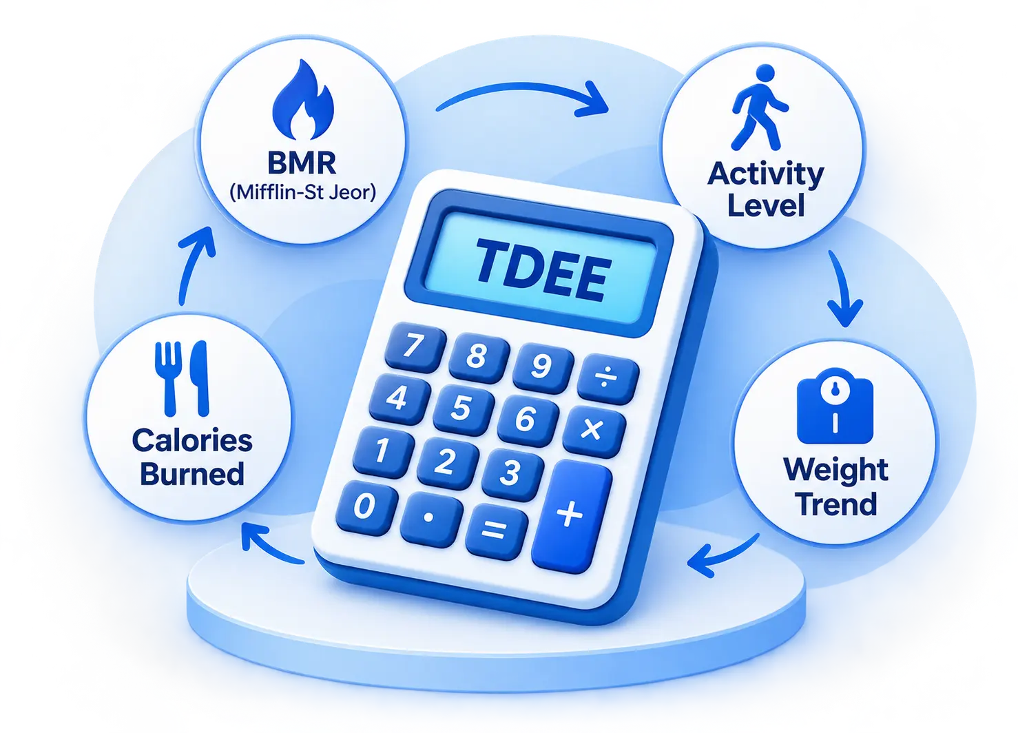 TDEE calculator illustration showing BMR, activity level, calories burned, weight trend, and calorie calculation